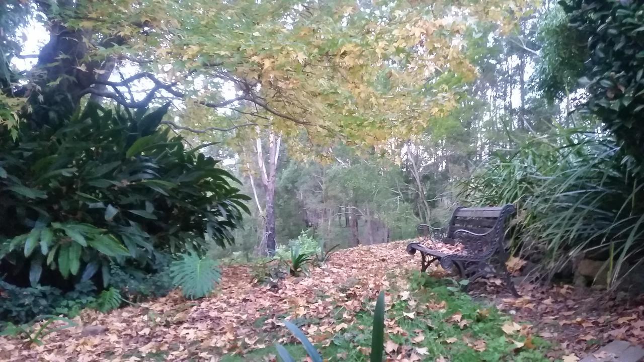 نامبوكا هيدس Forest View Bungalow المظهر الخارجي الصورة