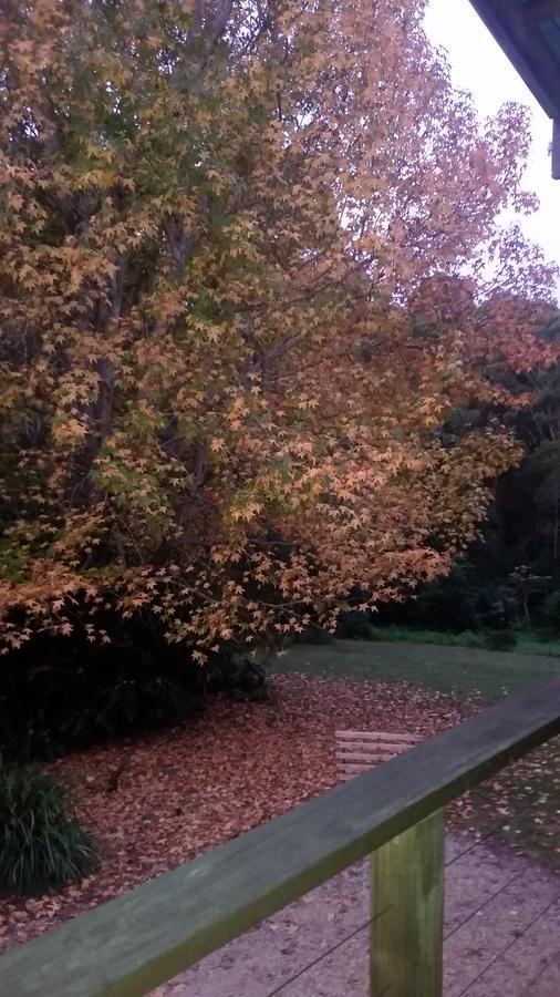 نامبوكا هيدس Forest View Bungalow المظهر الخارجي الصورة